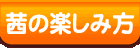 茜の楽しみ方